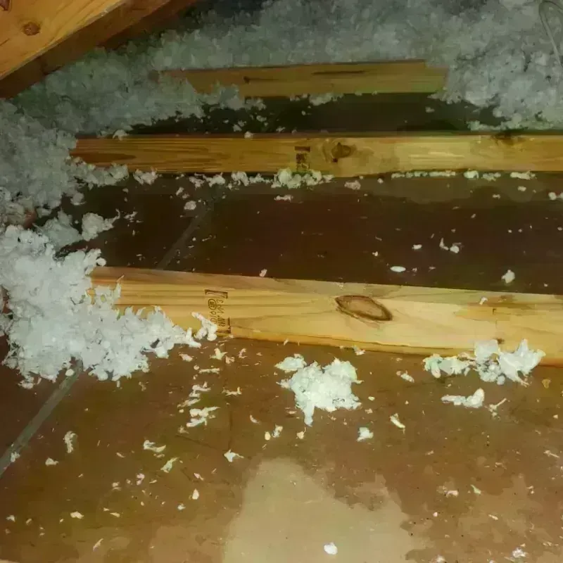 Attic Water Damage in Panama, OK