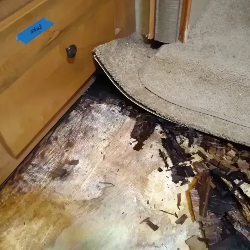 Best Wood Floor Water Damage Service in Panama, OK